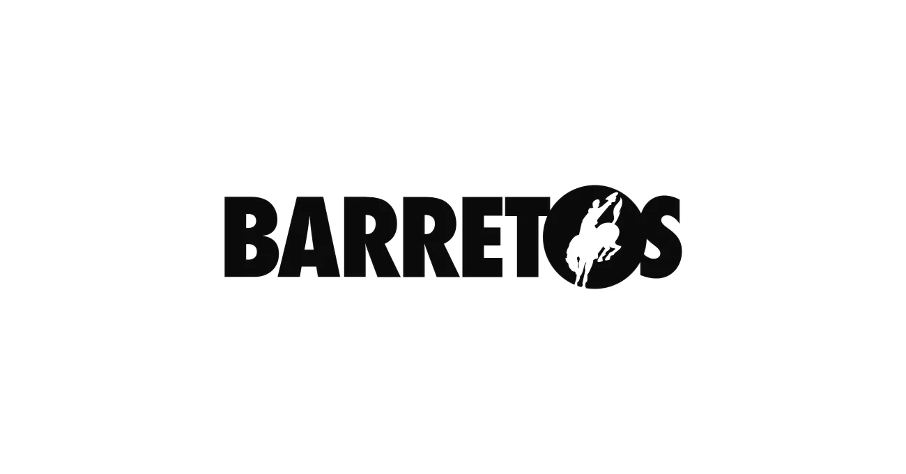 logo barrettes